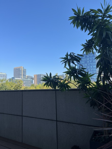 住总·清樾府实景图