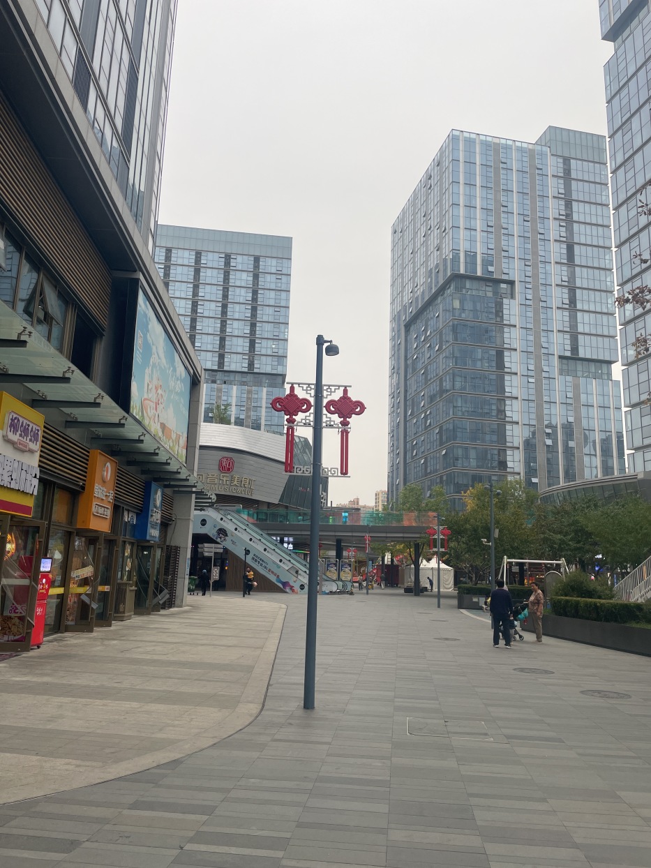 梧桐星宸周边配套