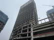 铂悦·星云府实景图
