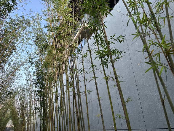 保利天府瑧悦实景图