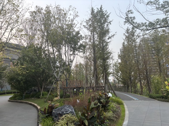 五矿·万境松雅实景图