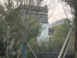 五矿·万境松雅实景图