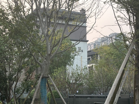 五矿·万境松雅实景图