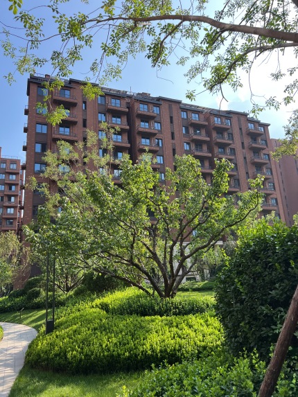 橡树湾实景图曝光！探索都市里的绿色家园🏡🌳