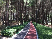 天一·观山阅实景图小区环境