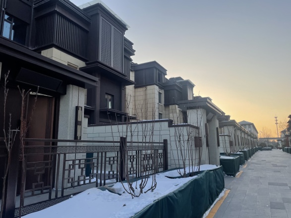 京能·丽墅实景图
