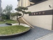 京能·丽墅实景图