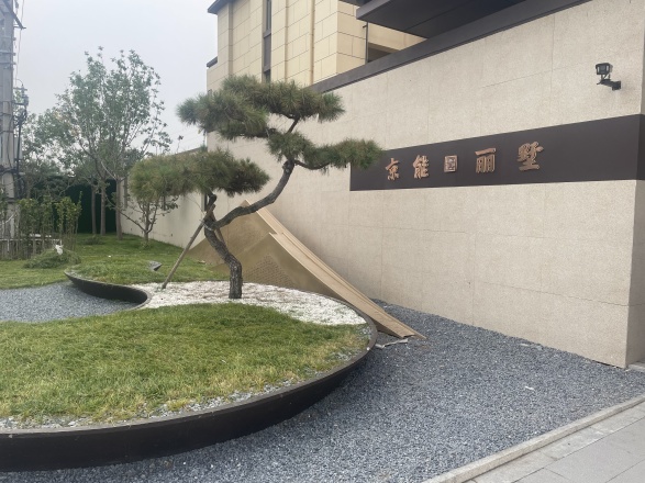 京能·丽墅实景图
