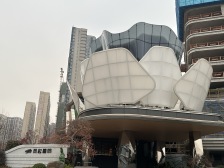 绿城·凤起麓鸣4室2厅西南