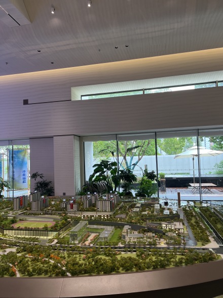 森与天成实景图