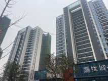 绿城光谷桂府实景图在建工地