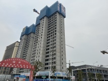 枫林诺园2月在建工地进度
