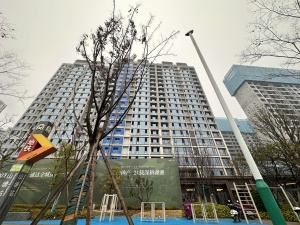 早期公摊新规小区纯板楼一梯一户小高层地铁在楼下