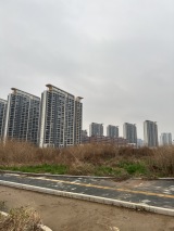 金地国际城实景图在建工地