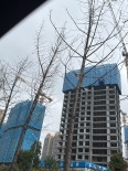 实景图在建工地