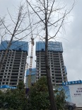 实景图在建工地