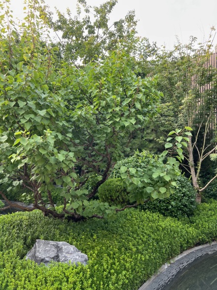 缦云ONE实景图