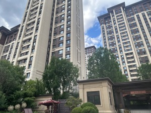 找我低价购:中海天镜 商务会所,150平1060万+196平