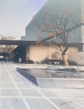 龙湖·观萃实景图在建工地