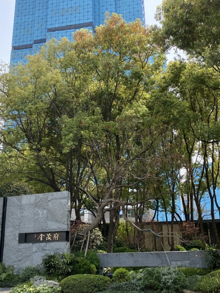 【苏州狮山金茂府小区,二手房,租房】- 苏州房天下