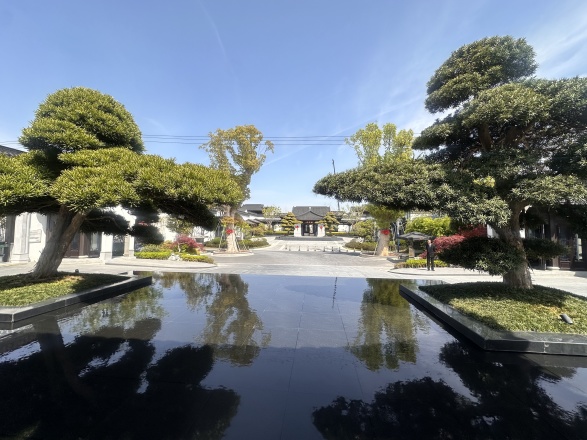 上海桃花源实景图