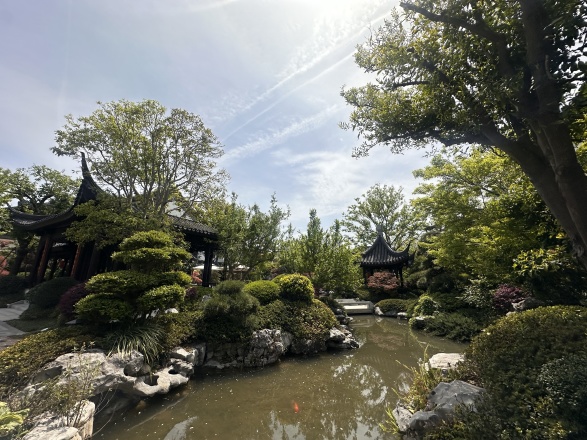 上海桃花源实景图