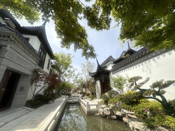 上海桃花源实景图