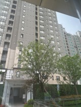 中信泰富·玖著实景图在建工地