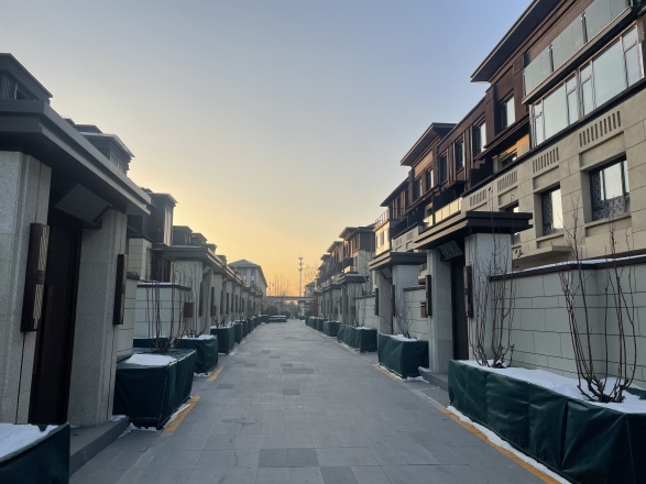 京能·丽墅实景图
