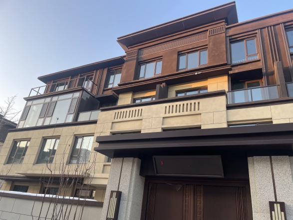 京能·丽墅实景图
