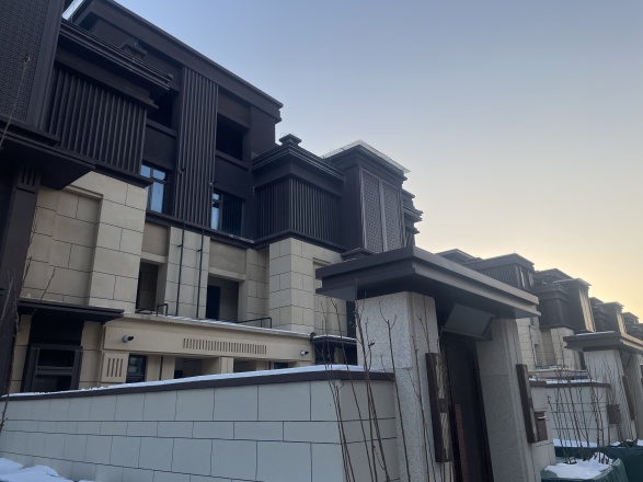 京能·丽墅实景图