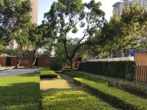 春风与你实景图售楼处