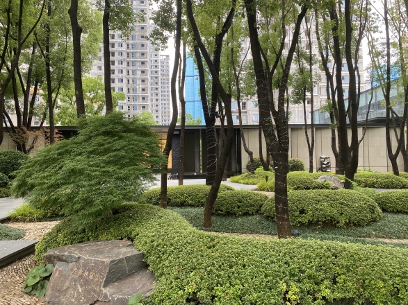 【苏州狮山金茂府小区,二手房,租房】- 苏州房天下