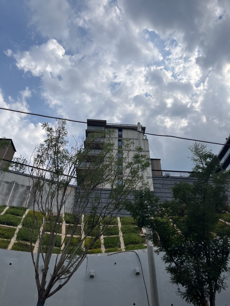 绿城·官山园著实景图