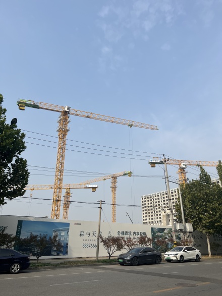 森与天成实景图