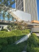 中建·星光城市实景图