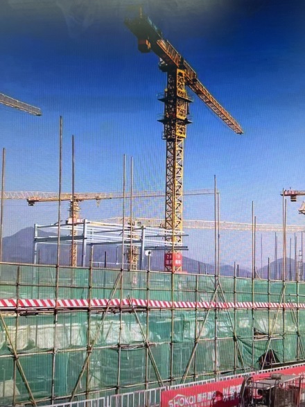 梧桐山语实景图