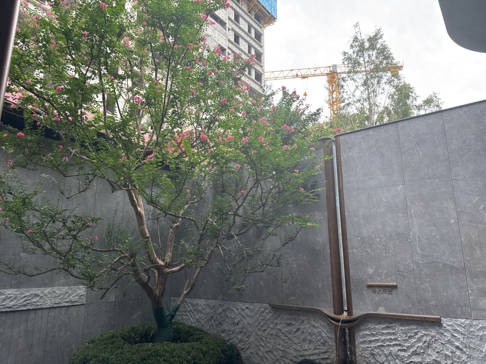 小区相关图