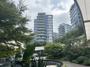清凤鹿溪源4室2厅东南