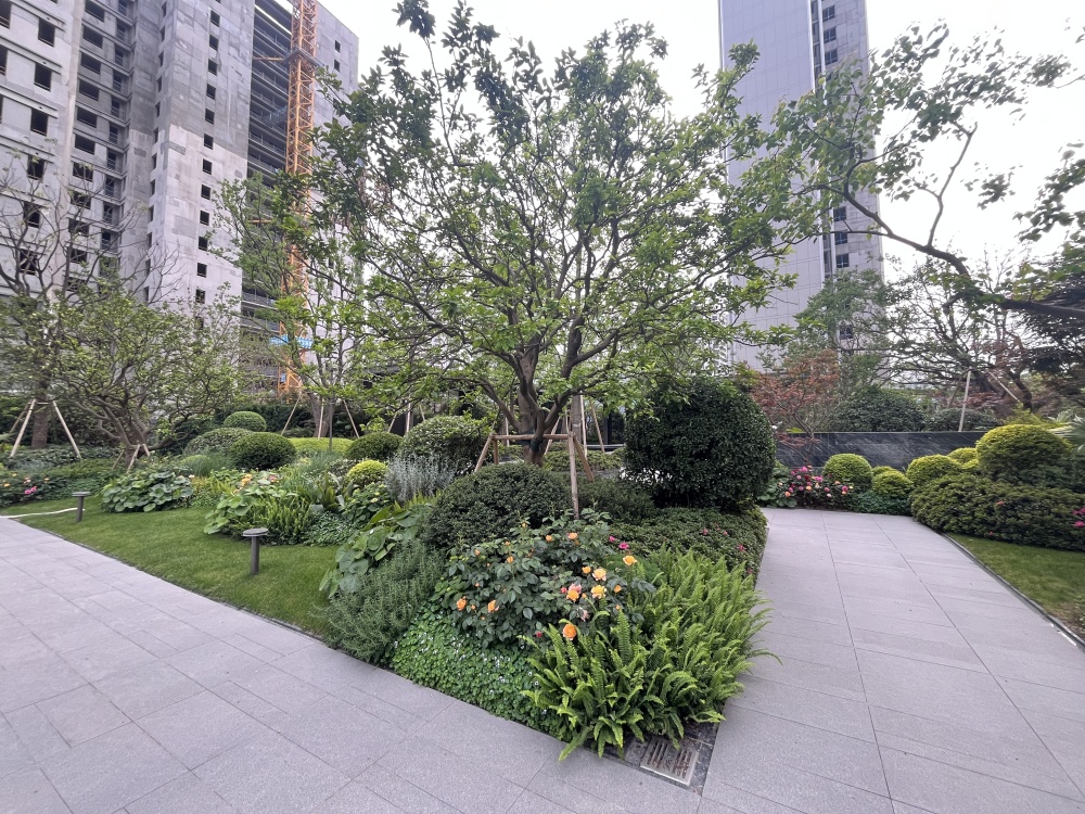 小区相关图