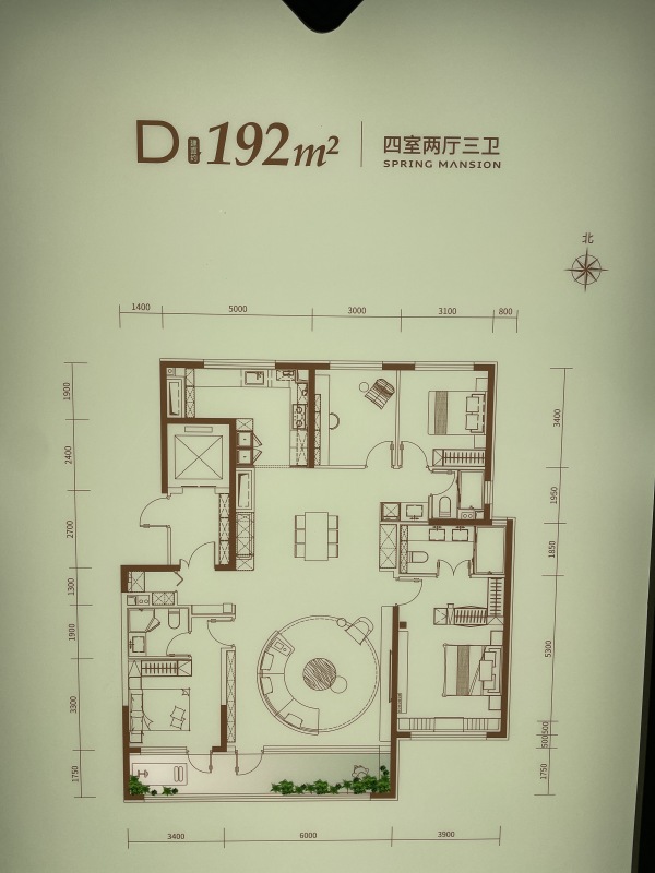 �˴��崺��