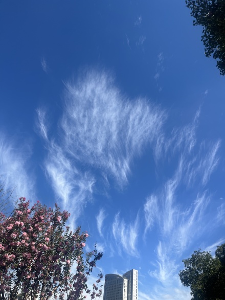 建发朗云实景图