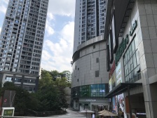 七星岗 罗宾森尚城华府一房93万