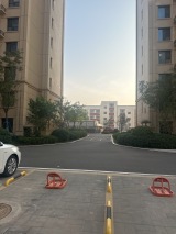 橄榄绿洲实景图小区环境