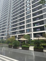 梦想·中央公园A09栋已交付实景