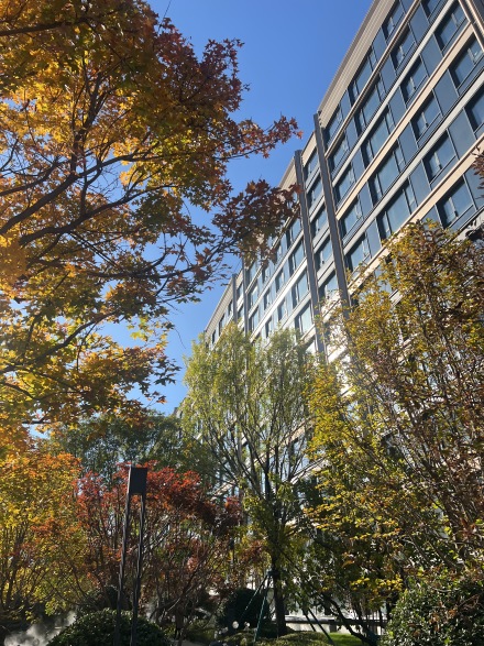 中海中旅·翠湖玖章实景图