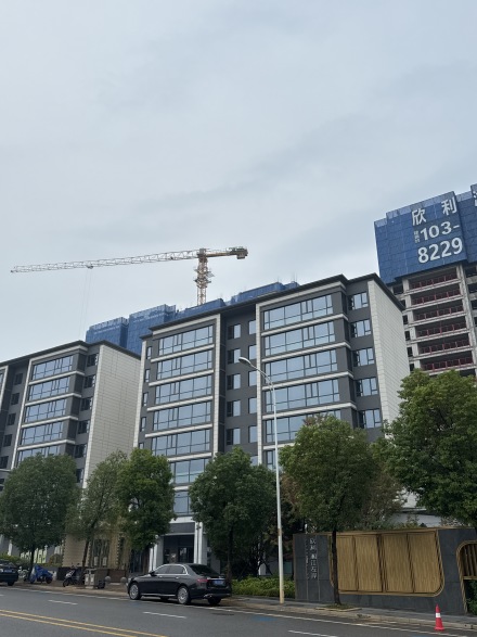 欣利湘江左岸实景图
