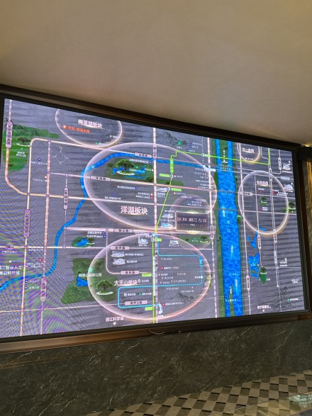 欣利湘江左岸实景图
