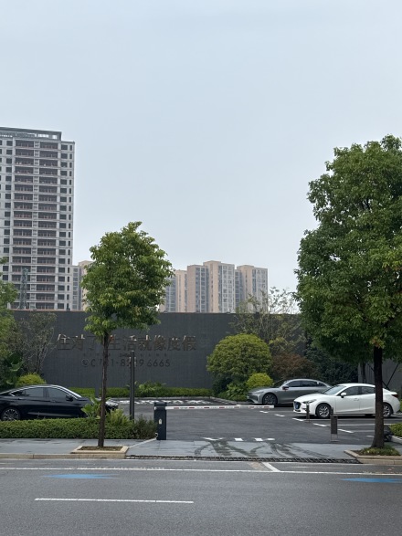 欣利湘江左岸实景图
