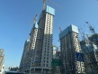 绿城锦海棠实景图